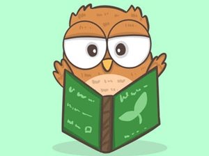 Sowa trzyma książkę1